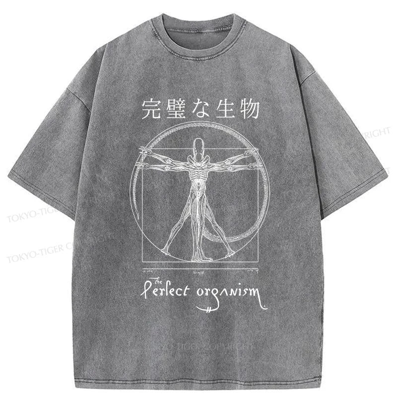 Tokyo-Tiger Perfect Organism Japanese Washed T-Shirt