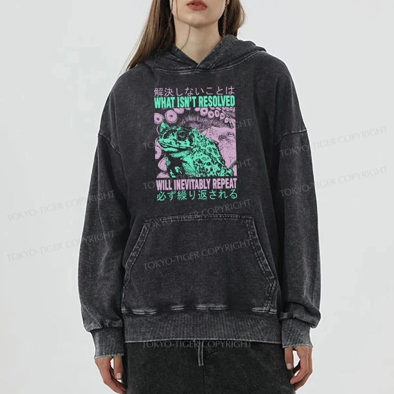 Tokyo-Tiger What Ist Resolved Forg Washed Hoodie