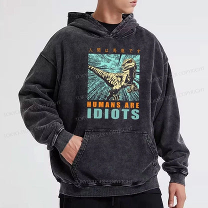 Tokyo-Tiger Mocking Dinosaurs Japanese Washed Hoodie