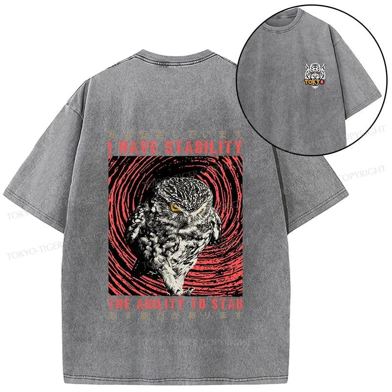 Tokyo-Tiger I Have Stability Owl Front Back Washed T-Shirt