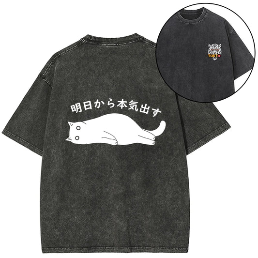 Tokyo-Tiger I'm Going To Get Serious Tomorrow Front Back Washed T-Shirt