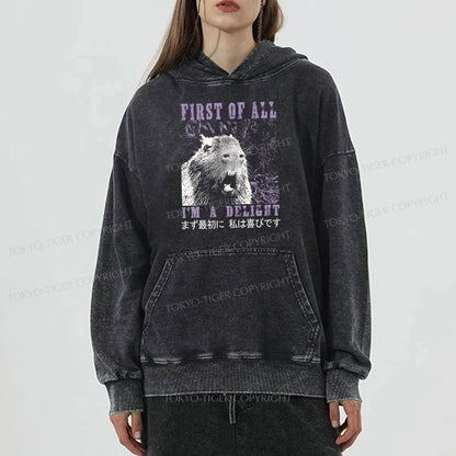 Tokyo-Tiger First Of All I'm A Delight Washed Hoodie