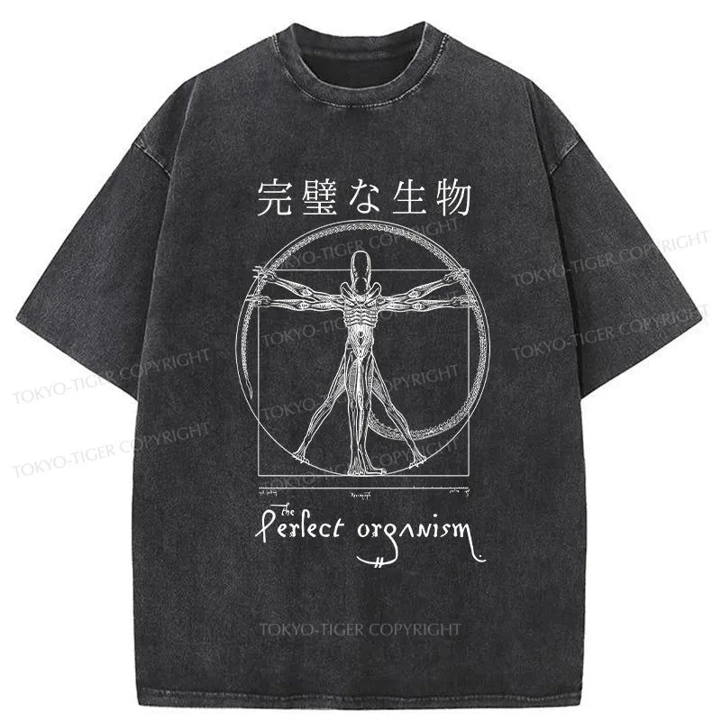 Tokyo-Tiger Perfect Organism Japanese Washed T-Shirt