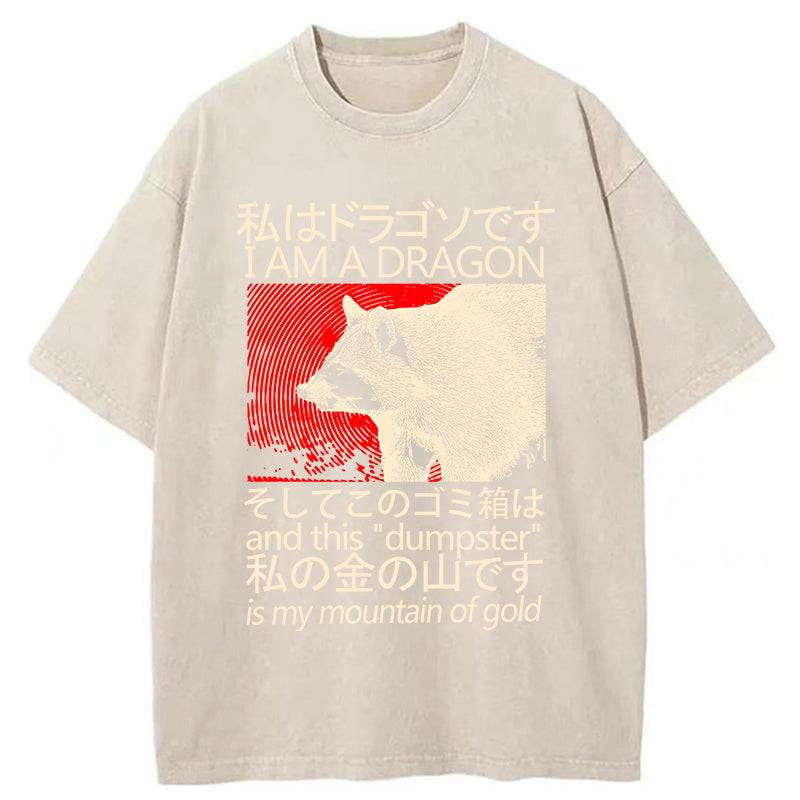 Tokyo-Tiger Dragon Raccoon Japanese Washed T-Shirt