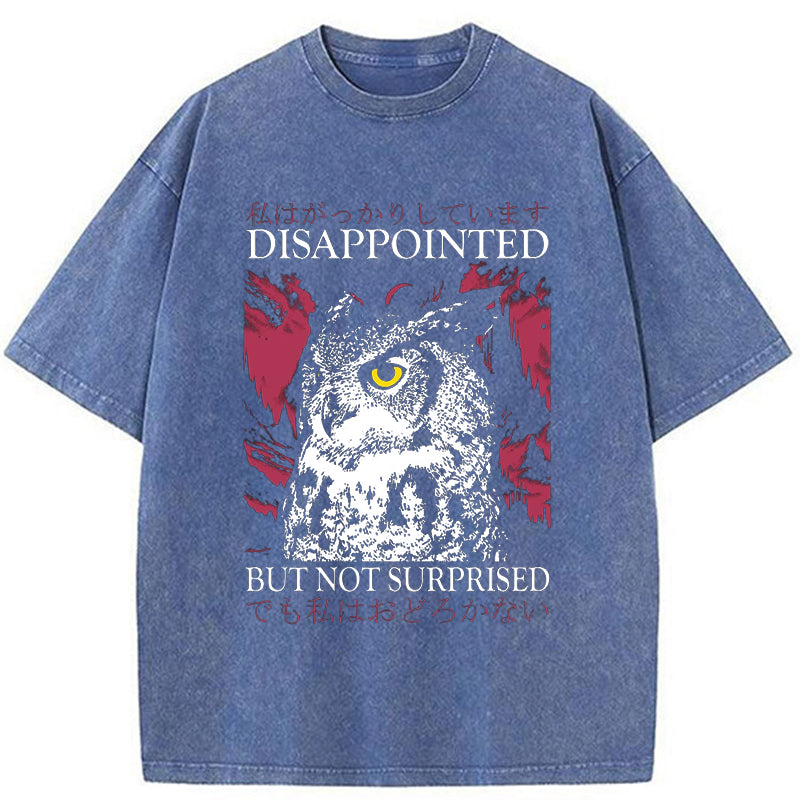 Tokyo-Tiger Disappointed Owl Washed T-Shirt