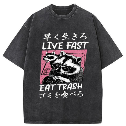 Tokyo-Tiger Live Fast Eat Trash Raccoon Washed T-Shirt