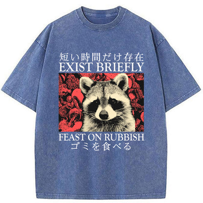 Tokyo-Tiger Exist Briefly Raccoon Washed T-Shirt