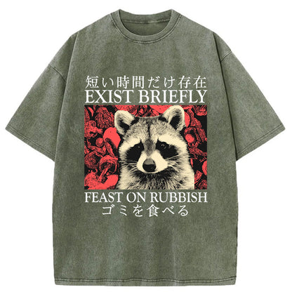 Tokyo-Tiger Exist Briefly Raccoon Washed T-Shirt